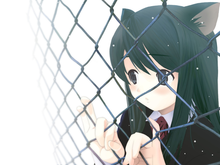 black_hair blue_eyes blush cat_ears catgirl chainlink_fence close-up fence green_hair highres houmitsu ribbon school_uniform snowing wallpaper