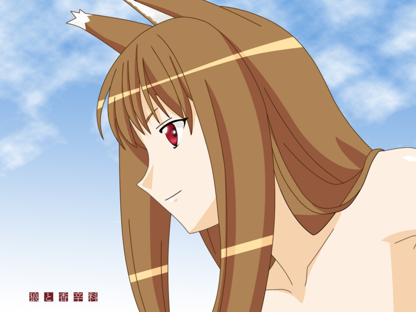 holo sky spice_and_wolf tagme vector