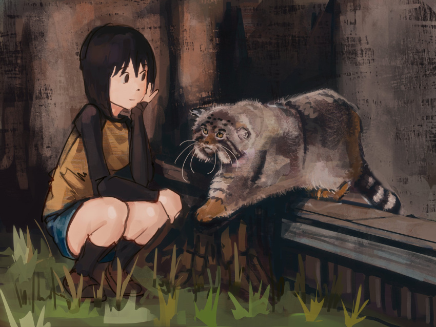 1girl animal_focus arm_on_own_leg bench black_eyes black_hair black_shirt black_socks blue_skirt bob_cut breasts brown_shoes cat closed_mouth denim denim_skirt elbow_on_knee elbow_rest eye_contact full_body grass grey_cat hair_between_eyes head_rest highres light_smile long_sleeves looking_at_animal looking_at_another looking_to_the_side medium_breasts miniskirt nakahara_misaki nhk_ni_youkoso! outdoors pallas's_cat rlsvd shirt shoes short_hair sketch skirt socks solo squatting t-shirt two-tone_shirt yellow_shirt