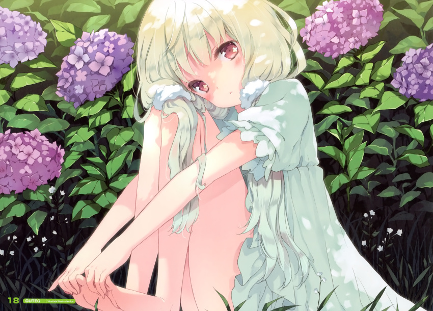 1girl absurdres bare_legs barefoot blonde_hair cafe_sourire cuteg dress feet flower foot_hold hands_on_feet head_tilt highres holding_another's_foot holding_own_foot hydrangea leg_hug long_hair ogiwara_kyouko sitting soles solo toes