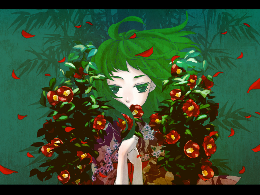 bad_id bamboo flower gabaisuito-n green green_eyes green_hair gumi highres japanese_clothes kimono letterboxed petals short_hair solo vocaloid wallpaper wind