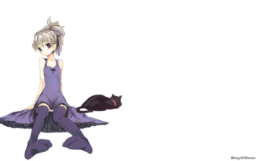 animal cat darker_than_black dress grey_hair mao purple_eyes underwear violet_eyes white yin