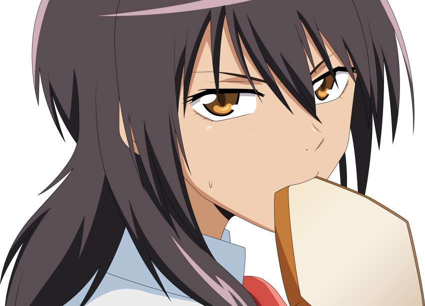 ayuzawa_misaki kaichou_wa_maid-sama! kaichou_wa_maid_sama transparent vector