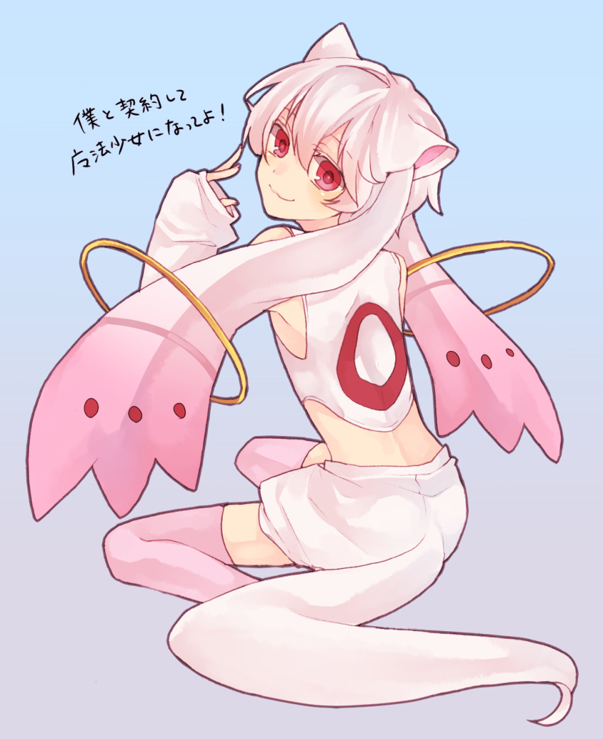 :3 androgynous animal_ears animal_tail kyubey kyuubee looking_back mahou_shoujo_madoka_magica make_a_contract makita_moyushi male midriff personification pink_hair pink_legwear pink_thighhighs red_eyes short_hair sitting sleeves_past_wrist sleeves_past_wrists solo tail thigh-highs thighhighs translated translation_request white_hair zettai_ryouiki