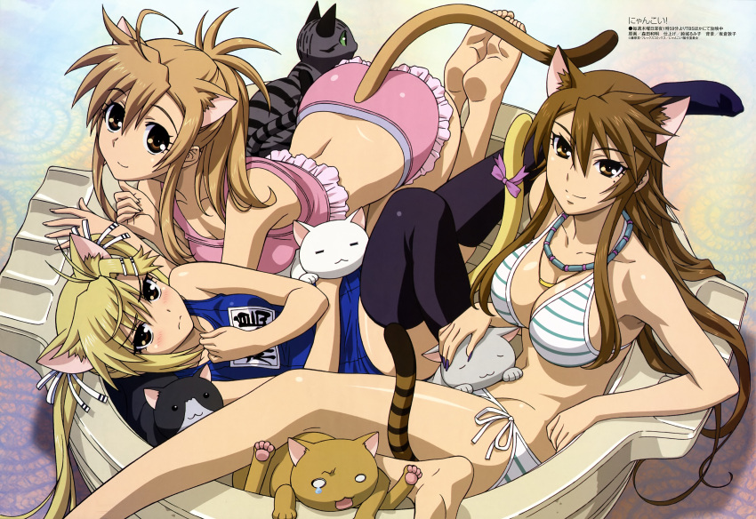 :&lt; :3 =_= absurdres ahoge all_fours animal_ears back barefoot bikini black_legwear blonde_hair blush breasts brown_eyes brown_hair cat cat_ears cat_tail cleavage embarrassed feet fingernails frilled_bikini frills hair_ribbon highres jewelry kirishima_akari large_breasts legs long_fingernails long_hair lying megami mizuno_kaede mole morita_kazuaki multiple_girls nail_polish necklace nyan_koi nyan_koi! o_o official_art on_back one-piece_swimsuit petting ribbon scan school_swimsuit side-tie_bikini sitting smile soles striped striped_bikini striped_swimsuit sumiyoshi_kanako swimsuit tail tears thighhighs twintails very_long_hair