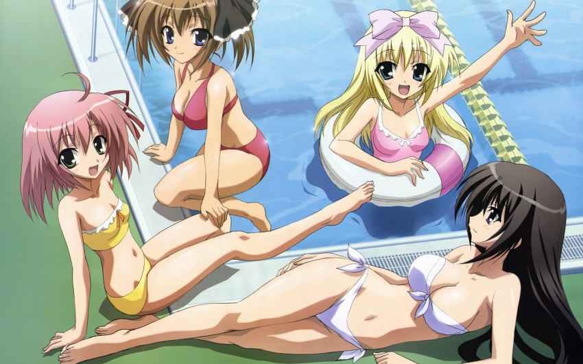 akaba_chizuru bikini sakurano_kurimu seitokai_no_ichizon shiina_mafuyu shiina_minatsu swimsuit