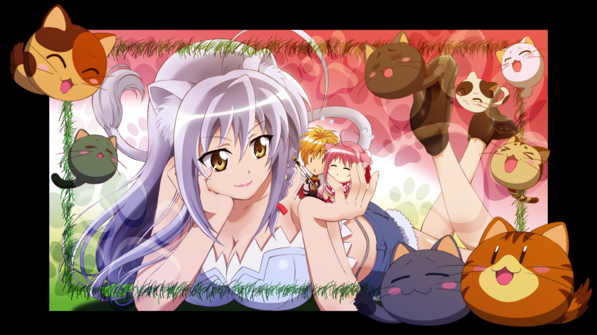 animal_ears breasts bustier cat cat_ears cat_tail cathead chibi cleavage dog_days dog_ears dog_tail highres leonmitchelli_galette_des_rois lingerie lips long_hair mikage_too millhiore_f_biscotti on_stomach shinku_izumi shorts tail underwear white_hair yellow_eyes