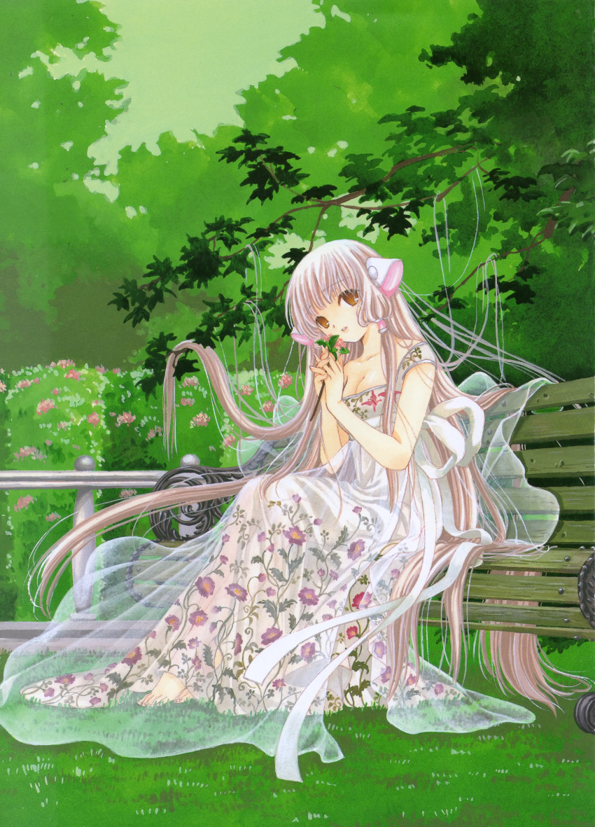 chii chobits clamp tagme