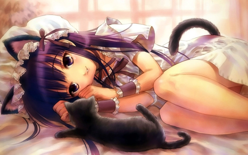 animal animal_ears cat catgirl goto_p hazuki purple_hair tail tsukuyomi_moon_phase violet_eyes