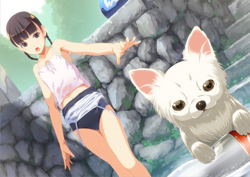 animal black_hair braid braids camisole dog midriff one-piece_swimsuit open_mouth original short_hair sody stairs swimsuit tank_top thigh-highs twin_braids twintails wet