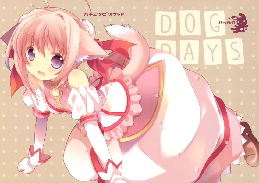 all_fours animal_ears bare_shoulders bun_cover cover cover_page detached_sleeves dog_days dog_ears dog_tail double_bun doujin_cover doujinshi dress gloves hair_bun hair_ribbon highres long_skirt looking_at_viewer millhiore_f_biscotti pink_hair purple_eyes red_ribbon ribbon skirt solo tail tokumi_yuiko violet_eyes white_gloves