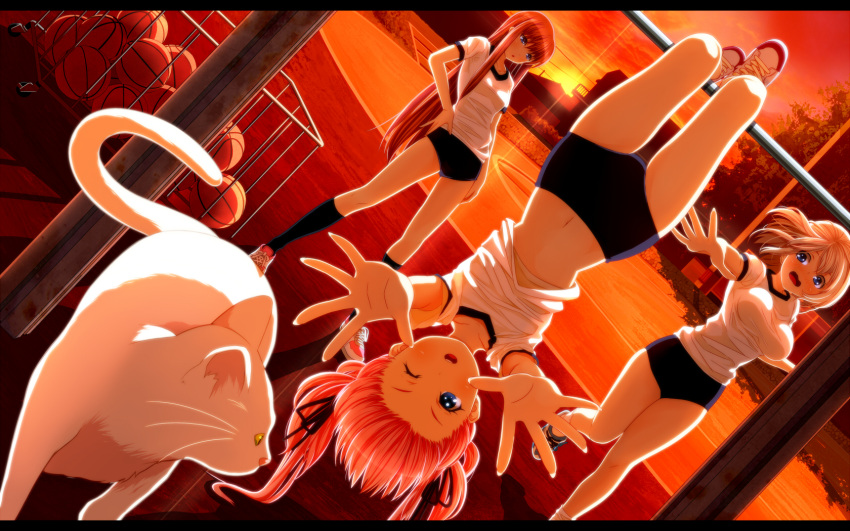 basketball blonde_hair blue_eyes buruma cat dutch_angle gym_uniform hair_ribbon hand_on_hip hands_on_hips highres horizontal_bar letterboxed long_hair multiple_girls navel open_mouth original outstretched_arm outstretched_hand ribbon sunset tsukumo twintails upside-down wink