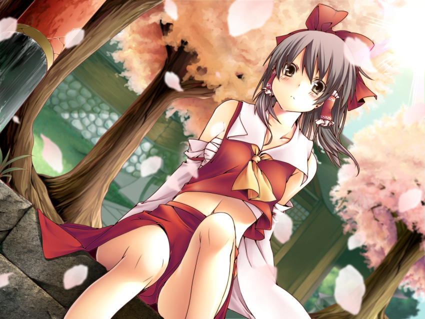 ascot bare_legs blurry blush bow breasts brown_eyes brown_hair cherry_blossoms depth_of_field detached_sleeves dutch_angle hair_bow hair_tubes hakurei_reimu highres legs lens_flare looking_at_viewer looking_down midriff miko navel petals sarashi short_hair sitting solo stare touhou tree wallpaper wind yana_mori