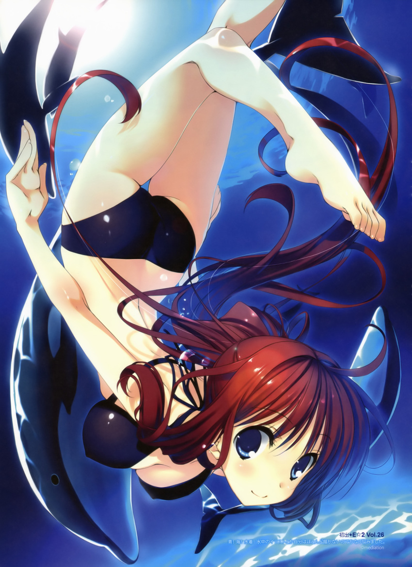 ass bare_legs bare_shoulders barefoot bikini blue_eyes breasts brown_hair cleavage dolphin erect_nipples feet freediving highres kagome_(traumatize) legs long_hair looking_at_viewer original ponytail smile solo swimsuit underwater very_long_hair