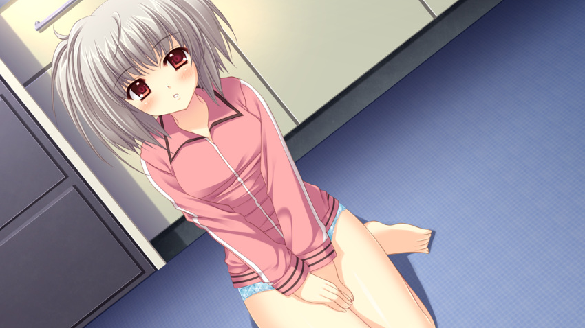 1girl blush game_cg grey_hair kona_nako nishimata_aoi panties red_eyes sekai_seifuku_kanojo underwear world_wide_love