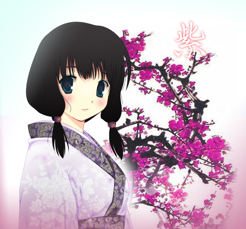 black_hair blue_eyes chinese_clothes flower original rock.fc solo twintails