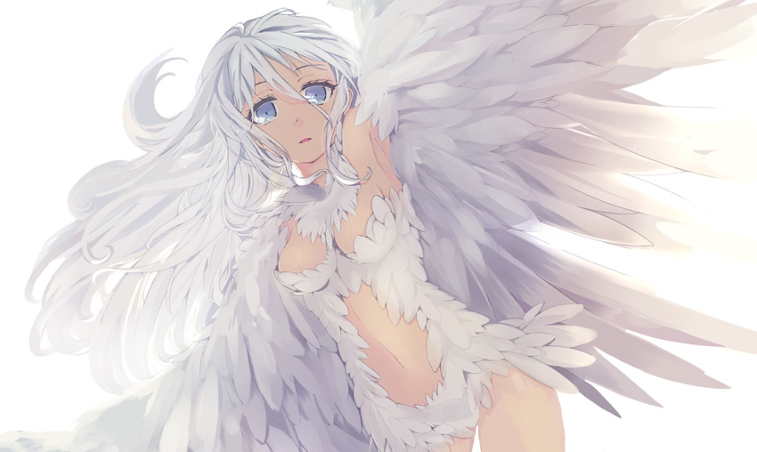 blue_eyes breasts dark_skin feathers harpy long_hair mizushirazu monster_girl navel original solo white_hair wings