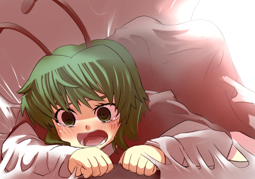 antennae cape commentary_request gaoo_(frpjx283) green_eyes green_hair open_mouth pain short_hair solo spider_web tears touhou wriggle_nightbug