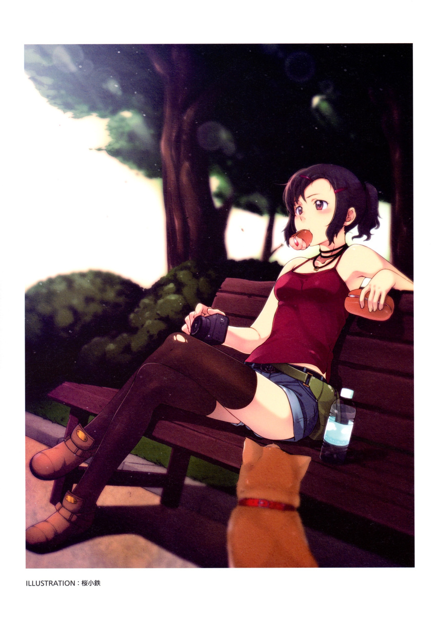 absurdres artist_request bare_shoulders bench black_hair black_legwear bottle camera camisole collar crossed_legs denim denim_shorts dog food_in_mouth hair_ornament hairclip highres jewelry legs_crossed lens_flare mouth_hold necklace original park_bench purple_eyes sakura_kotetsu sandwich scan scan_artifacts shorts sitting solo thigh-highs thighhighs tree violet_eyes water_bottle