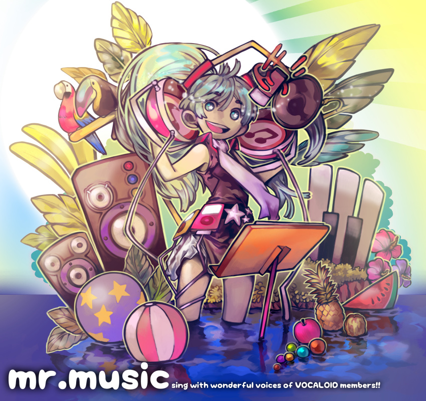 aqua_eyes aqua_hair ball beachball bird digital_media_player food fruit hands_on_headphones hatsune_miku headphones highres ipod jaehye_yoon macaw microphone musical_note open_mouth parrot piano_keys pineapple scarlet_macaw solo speaker toucan vocaloid wading water watermelon