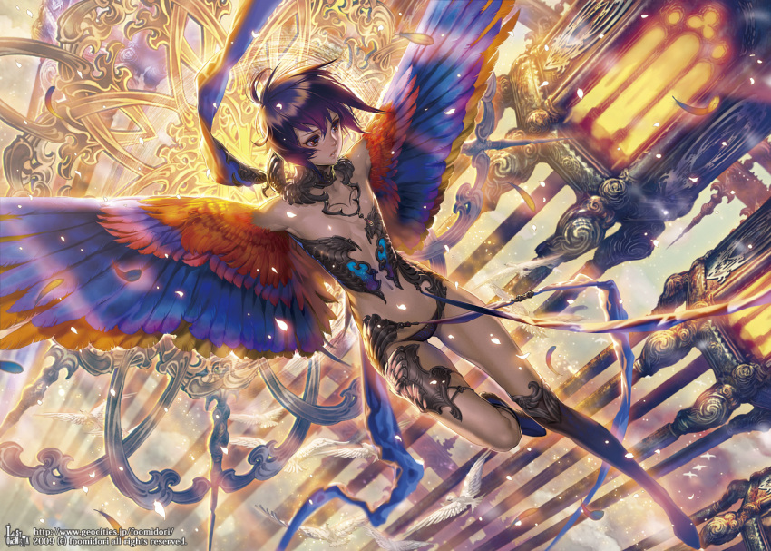 armor fantasy flat_chest flying harpy monster_girl original panties