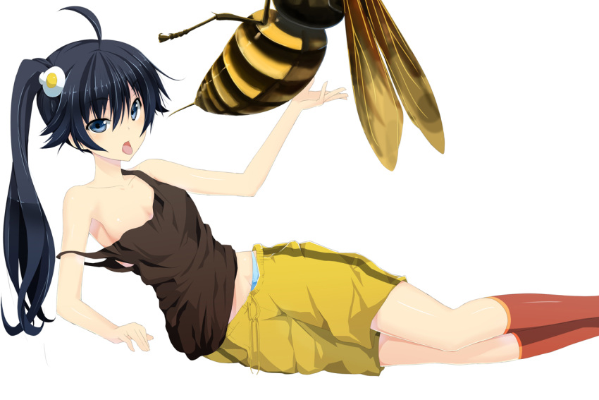 ahoge araragi_karen asymmetrical_hair bakemonogatari bee black_hair blue_eyes blue_panties fried_egg hair_ornament kneehighs long_hair looking_at_viewer lying monogatari_(series) mound_of_venus nisemonogatari no_bra off_shoulder ogadenmon on_side panties red_legwear shorts simple_background solo stinger strap_slip tank_top tongue tongue_out underwear white_background