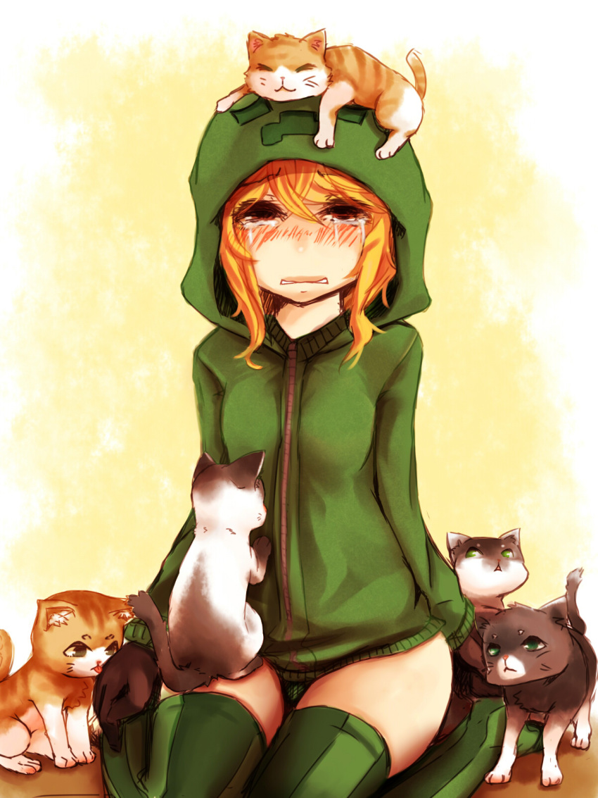 animal_on_head at2. blush cat cat_on_head creeparka creeper gloves highres hoodie minecraft parka personification red_eyes short_hair solo tears thigh-highs thighhighs too_many_cats zettai_ryouiki