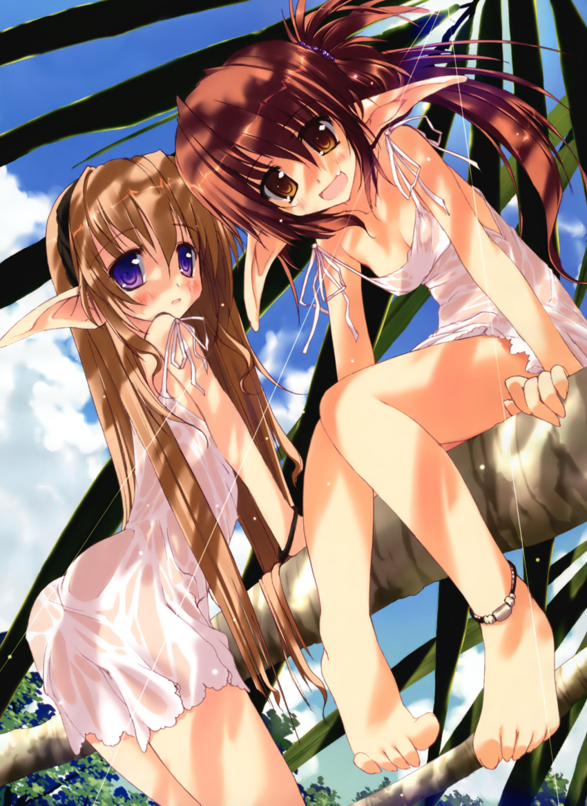 :d absurdres anklet arched_back arm_support bare_shoulders barefoot blonde_hair breasts brown_eyes brown_hair cleavage dress elf fang feet highres jewelry long_pointy_ears looking_at_viewer looking_back multiple_girls open_mouth original palm_tree pointy_ears purple_eyes sitting smile strap_slip tree tree_shade tsurusaki_takahiro violet_eyes wet wet_clothes wet_dress white_dress wristband