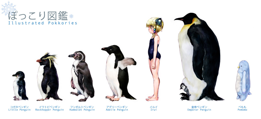 bird height_chart highres irui_guneden legs nakamura_kanko one-piece_swimsuit penguin school_swimsuit stuffed_animal stuffed_toy super_robot_wars swimsuit