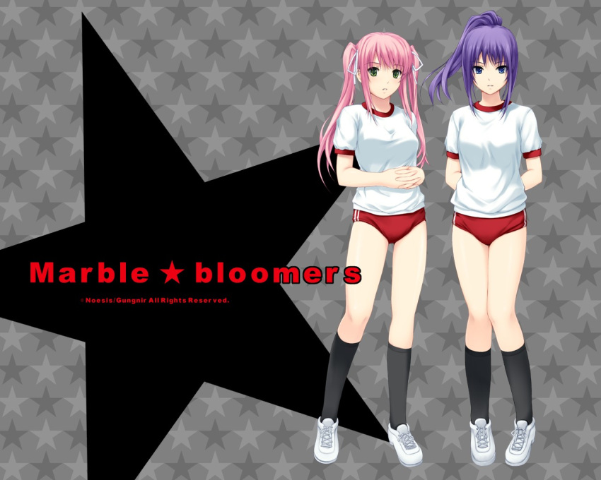 asagiri_luna bloomers coffee-kizoku gym_uniform marble_bloomers narikawa_saki noesis wallpaper