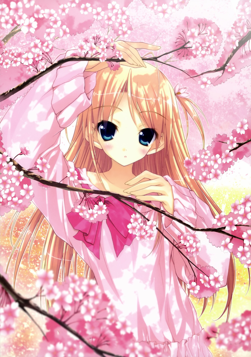 absurdres amane_sou blonde_hair blue_eyes blush cherry_blossoms copyright_request highres jacket tree_branch