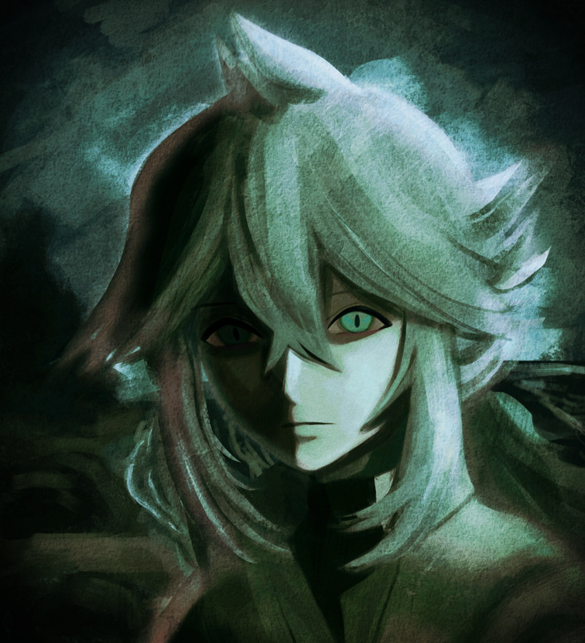 1boy absurdres ahoge black_shirt border brown_cloak brown_tunic cloak close-up commentary_request expressionless eyes_in_shadow face_in_shadow green_background green_hair hair_between_eyes highres horror_(theme) long_sidelocks looking_ahead low_ponytail male_focus muted_color n_(pokemon) ornate_border pokemon pokemon_bw ponytail shade shirt sidelocks tunic upper_body vignetting zero_(sleepy_meltan)