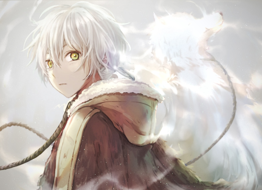 1boy braid brown_cloak brown_hair cloak closed_mouth floating_hair from_side fumetsu_no_anata_e fur-trimmed_hood fur_trim fushi grey_background hair_between_eyes hood hooded_cloak long_hair long_sleeves looking_at_viewer low-braided_long_hair low-tied_long_hair male_focus multicolored_hair rune_(rne_at) simple_background solo twin_braids two-tone_hair upper_body white_hair wide_sleeves yellow_eyes