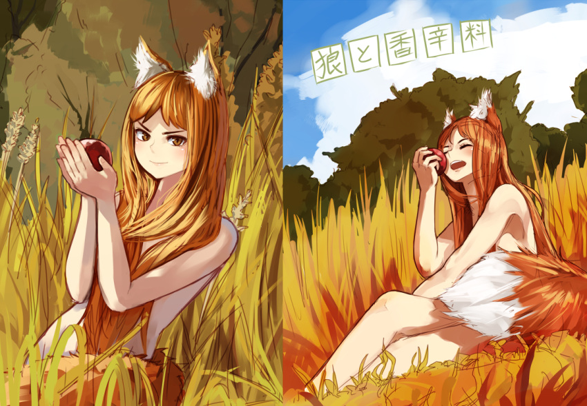 animal_ears apple brown_eyes brown_hair holo long_hair nude spice_and_wolf wheat wolf_ears wolf_tail