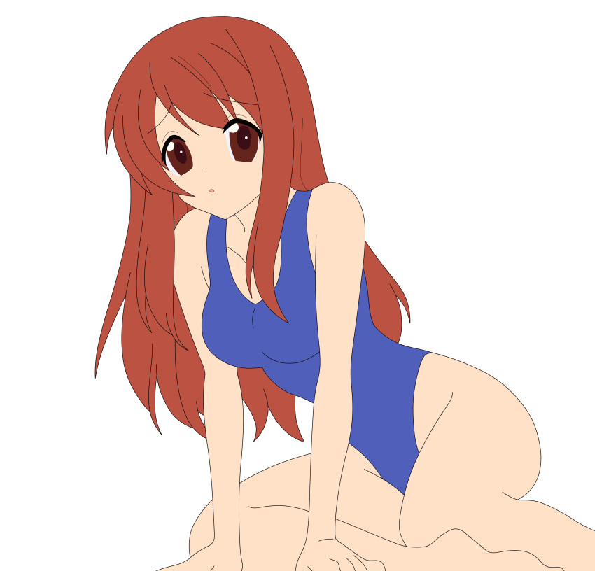 1girl asahina_mikuru brown_eyes brown_hair high_res legs long_hair mizugi photoshop suzumiya_haruhi_no_yuuutsu thighs vector_trace