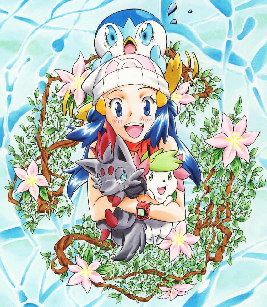 1girl blue_hair gensei-225 highres hikari_(pokemon) long_hair open_mouth piplup pokemon pokemon_(anime) pokemon_(creature) poketch scarf shaymin watch wristwatch zorua