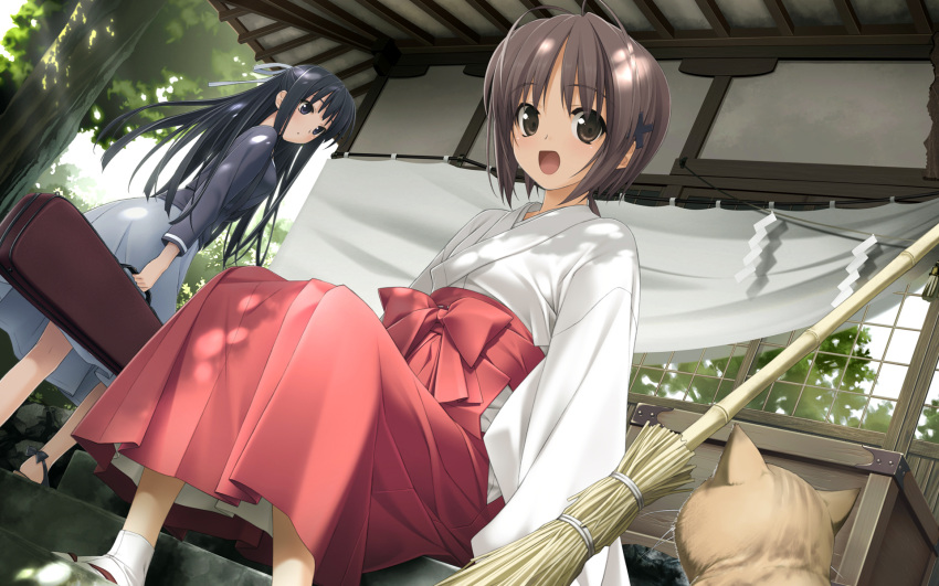 1920x1200 amatsume_akira antenna_hair black_eyes black_hair broom brown_eyes brown_hair cat dress dutch_angle hair_ornament hair_ribbon hashimoto_takashi highres instrument_case japanese_clothes long_hair looking_at_viewer migiwa_kazuha miko multiple_girls ribbon short_hair smile tabi wallpaper yosuga_no_sora