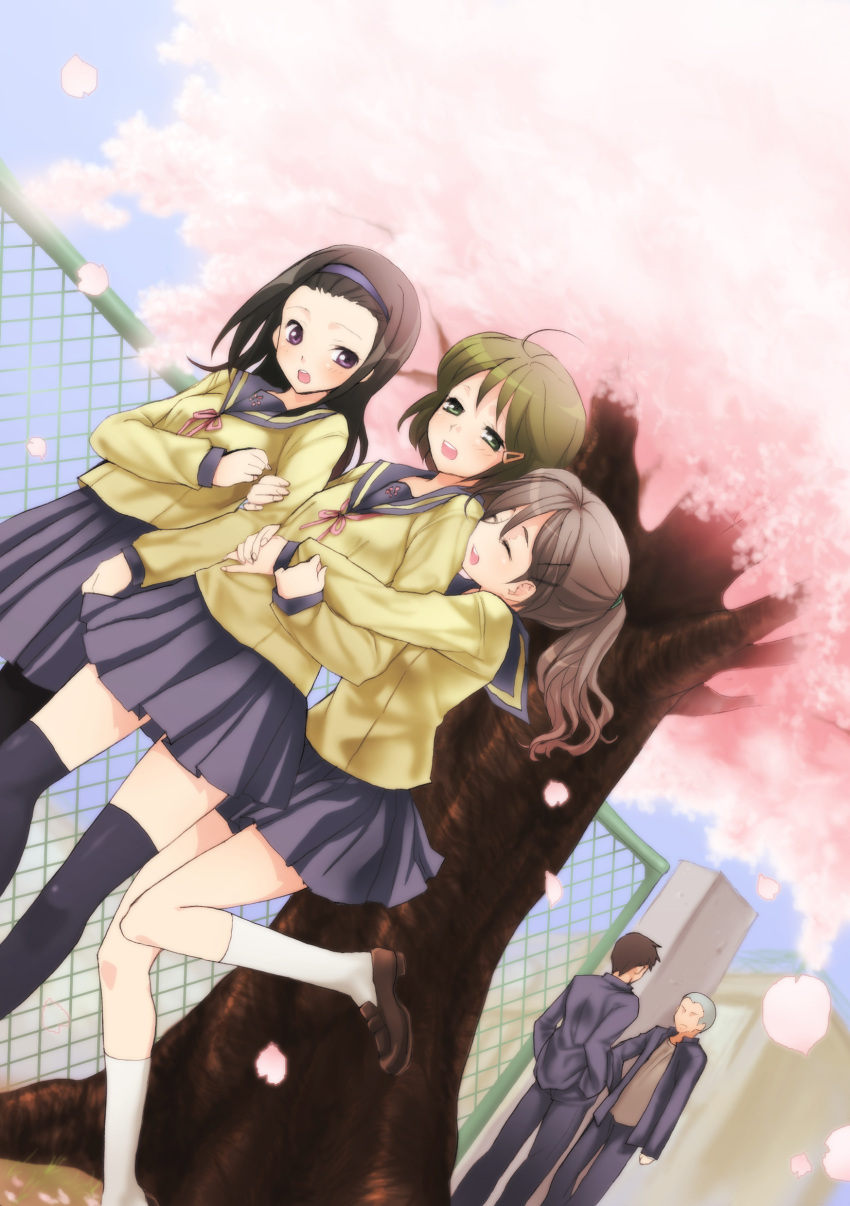 black_hair cherry_blossoms dutch_angle green_eyes green_hair hair_ornament hairband hairclip highres hug kneehighs legs long_hair original oumi_sanaka pantyhose petals ponytail purple_eyes school_uniform skirt socks thigh-highs thighhighs tree violet_eyes zettai_ryouiki