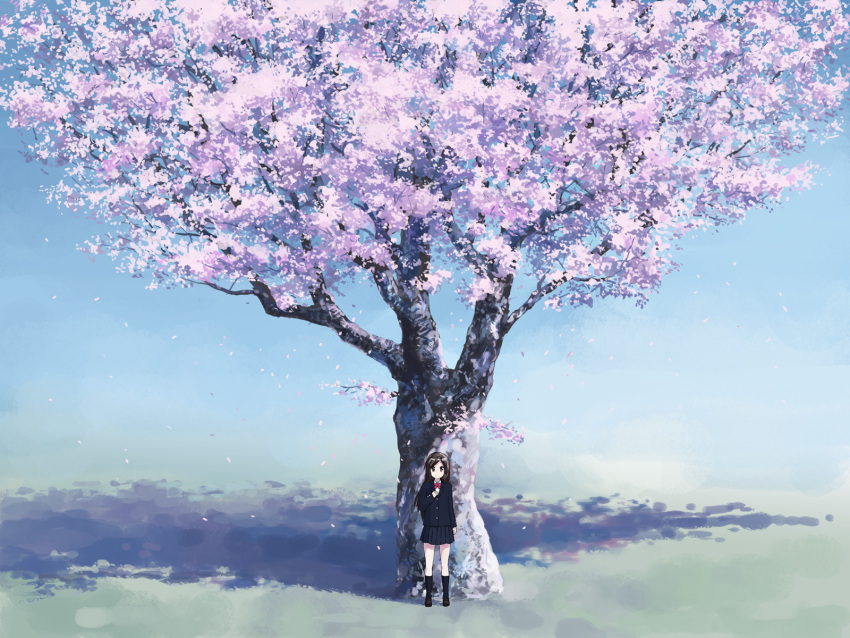 cherry_blossoms isou_nagi original scenic seifuku tree