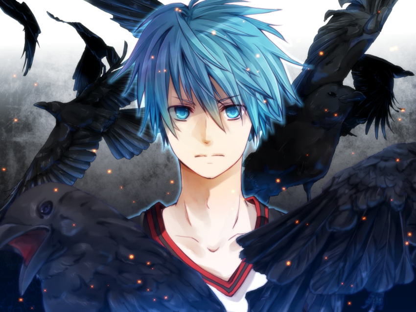 animal bird blue_eyes blue_hair kuroko_no_basket kuroko_tetsuya mochitachio short_hair