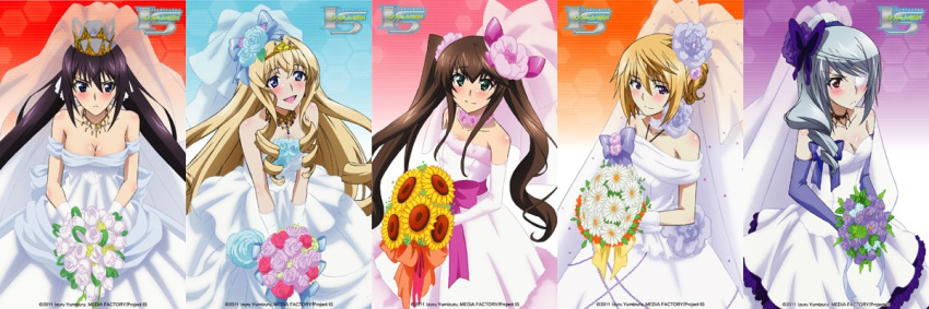 5girls bare_shoulders black_hair blonde_hair blue_eyes blue_gloves blush bouquet breasts bridal_veil brown_hair cecilia_alcott charlotte_dunois cleavage crown dress elbow_gloves flower gloves hair_flower hair_ornament hair_over_one_eye hairband huang_lingyin infinite_stratos jewelry large_breasts laura_bodewig long_hair long_image multiple_girls necklace red_eyes shinonono_houki short_hair silver_hair tiara twintails veil very_long_hair wedding_dress white_gloves wide_image
