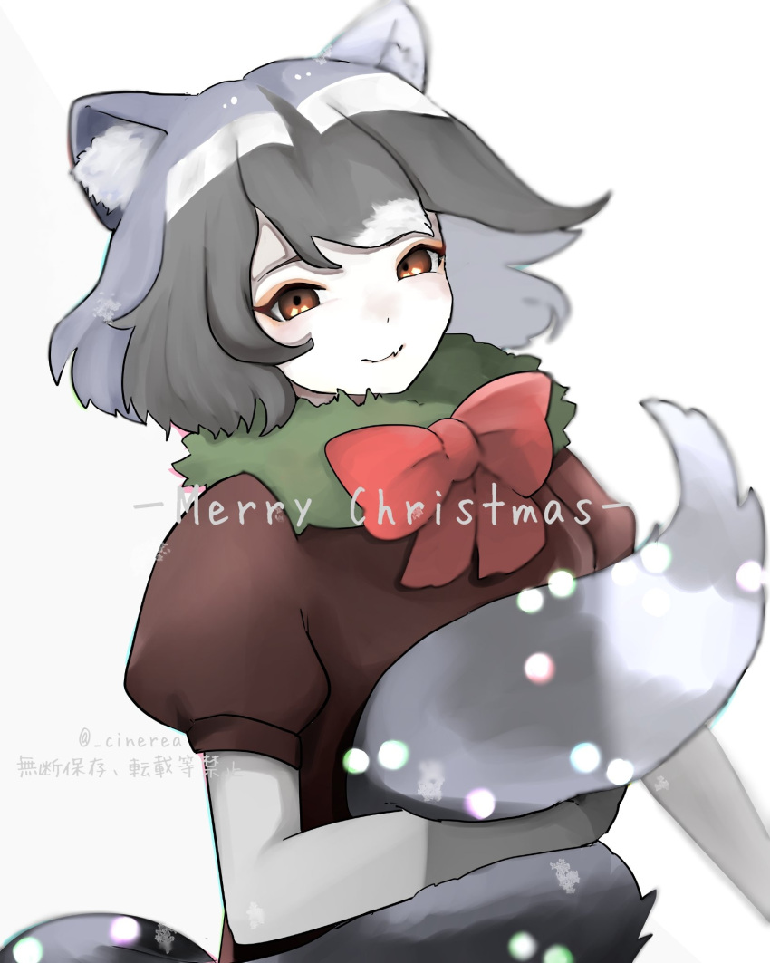 1girl alternate_costume animal_ears black_hair blush bow bowtie brown_eyes christmas christmas_lights cine_re_a collar common_raccoon_(kemono_friends) elbow_gloves fang fur_collar gloves green_collar grey_gloves grey_hair highres holding_tail kemono_friends looking_at_viewer merry_christmas multicolored_hair raccoon_ears raccoon_tail red_ribbon red_shirt ribbon shirt short_hair short_sleeves smile solo tail translation_request twitter_username white_background