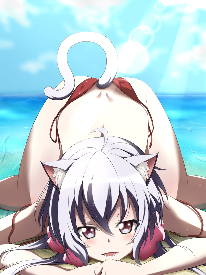 1girl ahoge aki_(yunkana) animal_ears beach bikini blush cat_ears cat_tail hair_ornament hair_scrunchie highres long_hair looking_at_viewer ocean off_shoulder open_mouth partially_submerged red_eyes scrunchie senki_zesshou_symphogear side-tie_bikini silver_hair smile solo swimsuit tail top-down_bottom-up twintails untied untied_bikini yukine_chris