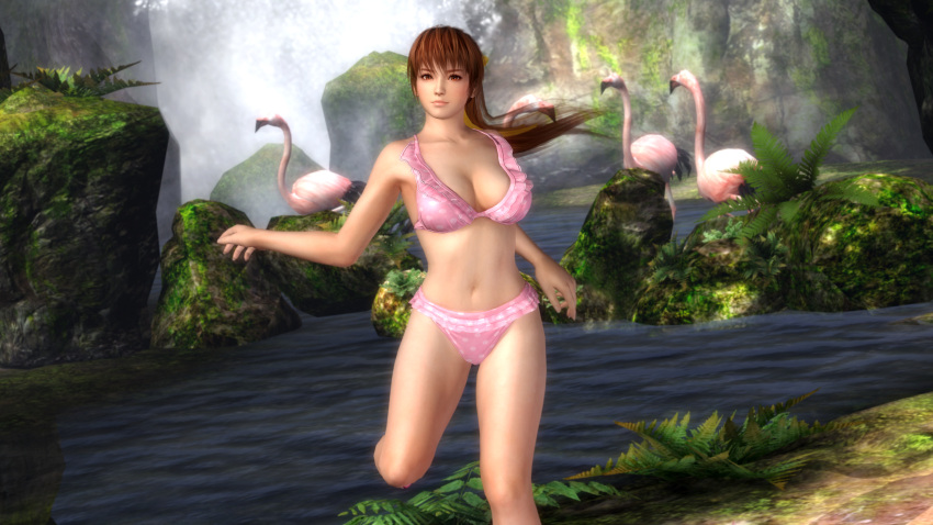 3d dead_or_alive dead_or_alive_5 flamingo kasumi large_breasts nature swimsuit waterfall