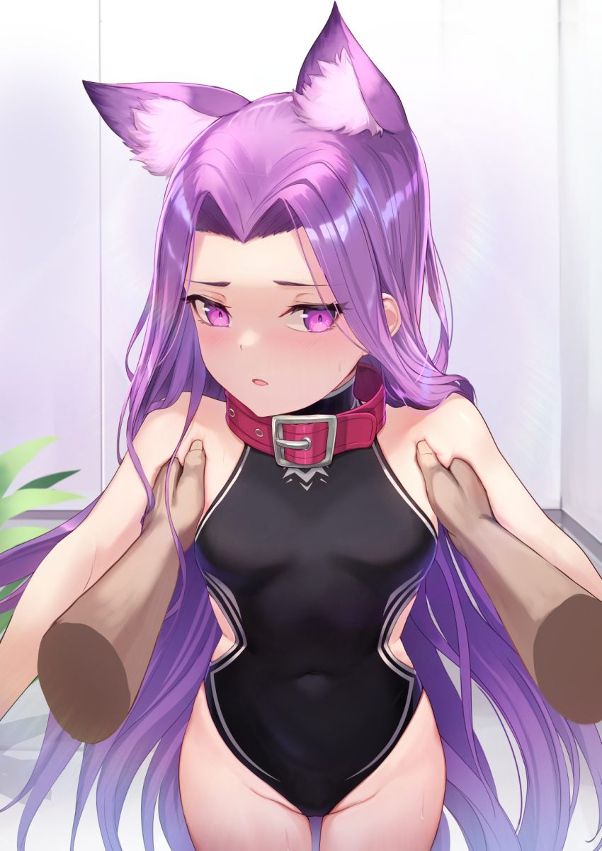 1boy 1girl animal_ear_fluff bare_shoulders black_leotard blush breasts buckle collar covered_navel cowboy_shot disembodied_limb fate/grand_order fate_(series) forehead groin highres indoors kemonomimi_mode leotard long_hair looking_at_viewer medusa_(fate) medusa_(lancer)_(fate) open_clothes pov purple_hair rui_rubellent small_breasts solo_focus straight_hair sweat very_long_hair violet_eyes