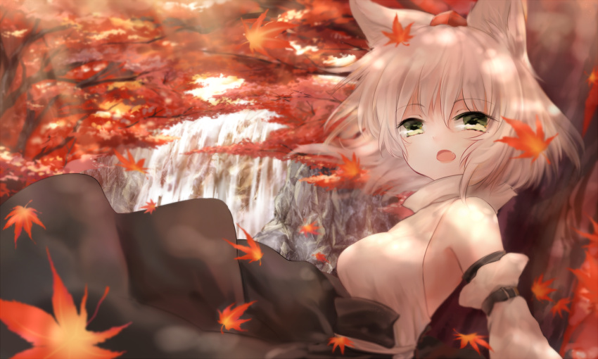 animal_ears bare_shoulders detached_sleeves dqn_(dqnww) fang green_eyes hat highres in_tree inubashiri_momiji leaf maple_leaf nature open_mouth short_hair silver_hair sitting sitting_in_tree solo tokin_hat touhou tree water waterfall wolf_ears