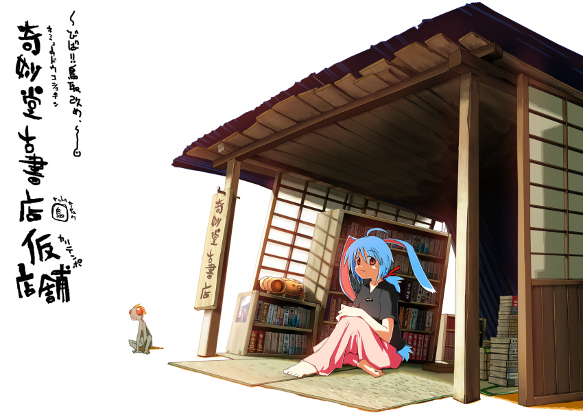 animal_ears blue_hair book bookstore highres mat red_eyes shop sitting smile tottori