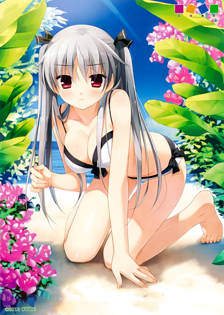 absurdres barefoot beach bikini blush breasts cleavage collarbone cube feet flower highres kanekiyo_miwa kurano_kun_chi_no_futago kurano_kun_chi_no_futago_jijou kurano_tomoka long_hair looking_at_viewer red_eyes scan side-tie_bikini silver_hair simple_background solo swimsuit swimsuit twintails water