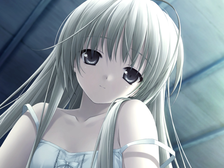 bare_shoulders bow camisole close close-up face flat_chest game_cg grey_eyes haruka_na_sora hashimoto_takashi head_tilt highres kasugano_sora light_smile lingerie long_hair looking_at_viewer solo strap_slip underwear very_long_hair wallpaper white_hair yosuga_no_sora