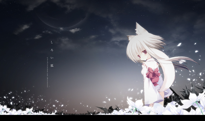 flower fox_ears fox_tail highres japanese_clothes kimono long_hair looking_back mashana_yukii night night_sky original p19 petals red_eyes sky solo tail white_hair